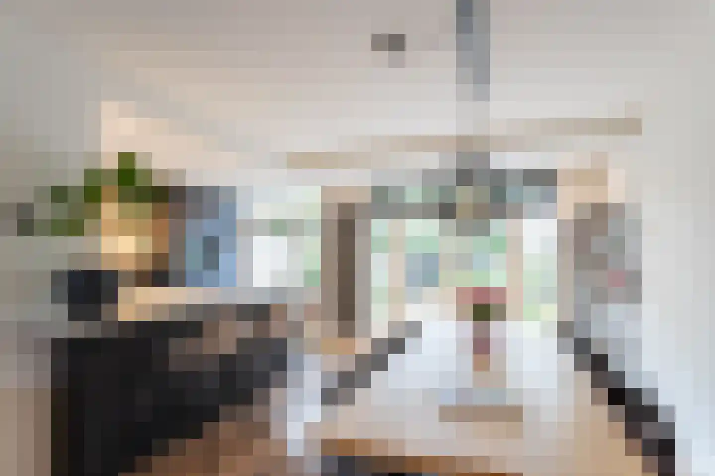Dr. Schaepmanplantsoen 7 Helmond thumbnail 9