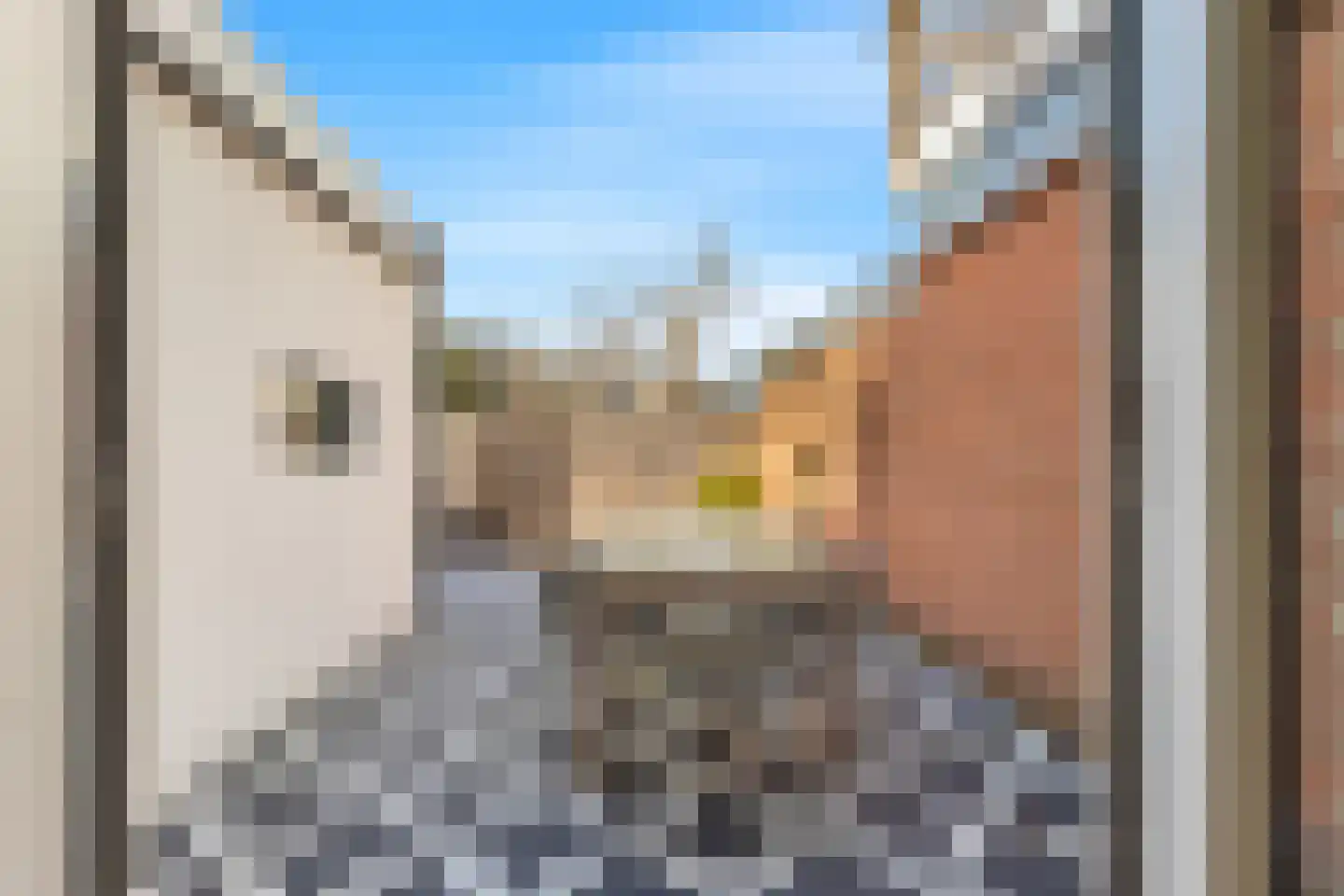 Dr.Schaepmanplein 4 Alkmaar thumbnail 17