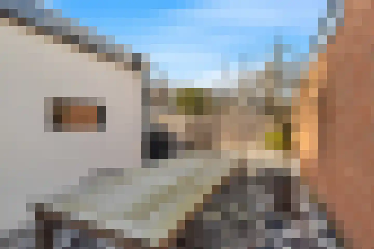 Dr.Schaepmanplein 4 Alkmaar thumbnail 19