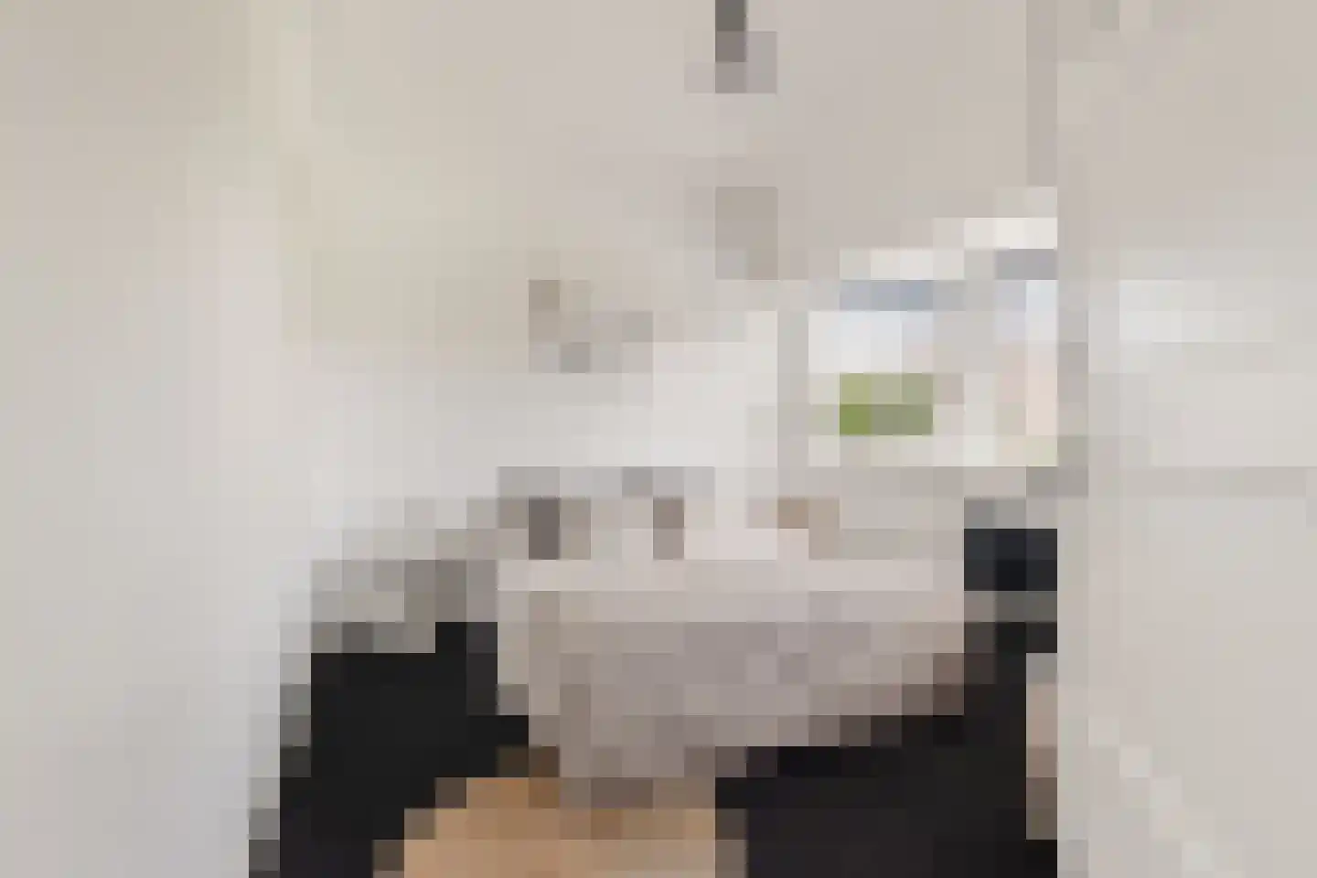 Dr.Schaepmanplein 4 Alkmaar thumbnail 31