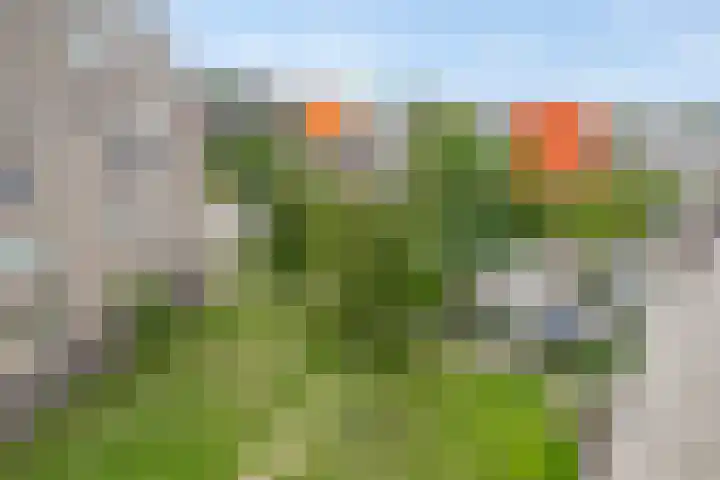 Dr Schaepmansingel 139 Schiedam thumbnail 17