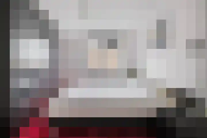 Dr Schaepmansingel 139 Schiedam thumbnail 18
