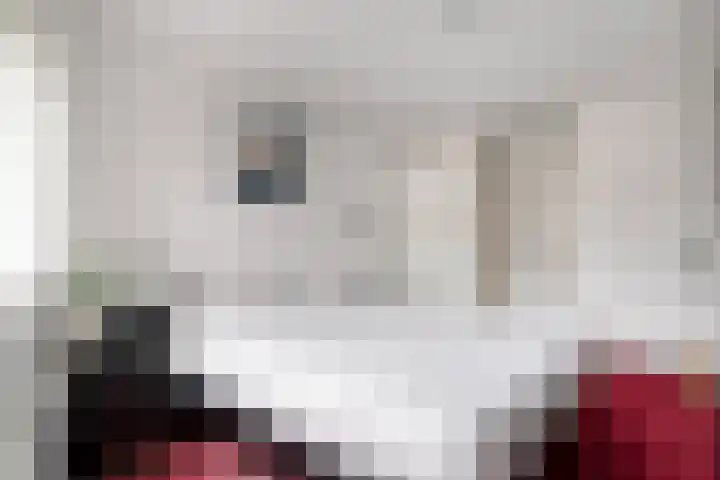 Dr Schaepmansingel 139 Schiedam thumbnail 19