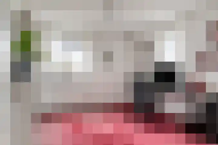 Dr Schaepmansingel 139 Schiedam thumbnail 23