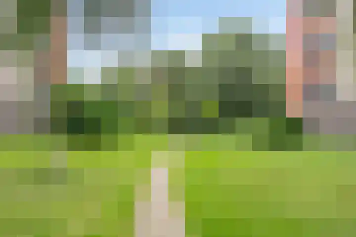 Dr Schaepmansingel 139 Schiedam thumbnail 27