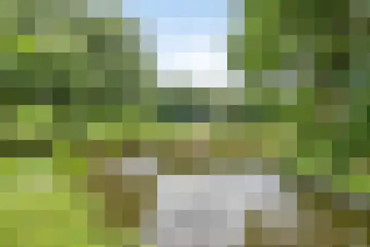 Dr Schaepmansingel 139 Schiedam thumbnail 28