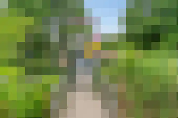 Dr Schaepmansingel 139 Schiedam thumbnail 29