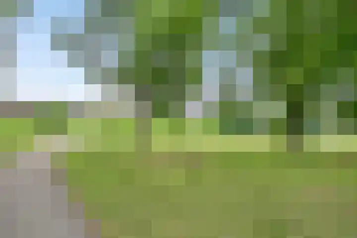 Dr Schaepmansingel 139 Schiedam thumbnail 30