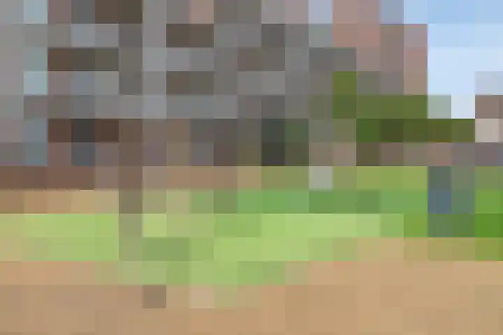 Dr Schaepmansingel 139 Schiedam thumbnail 31