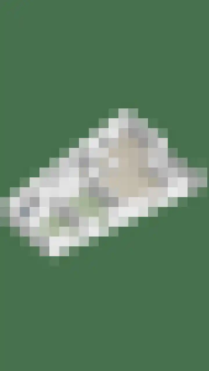 Dr Schaepmansingel 139 Schiedam thumbnail 37