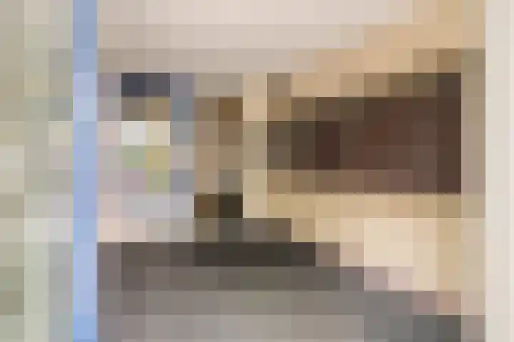 Dr Schaepmansingel 139 Schiedam thumbnail 5