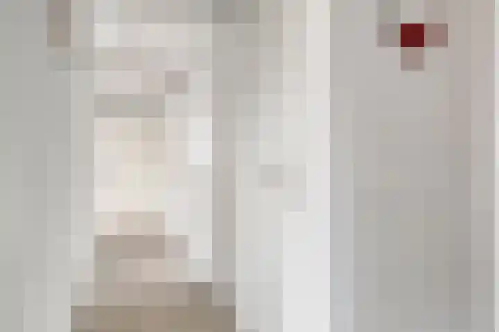 Dr Schaepmansingel 139 Schiedam thumbnail 8