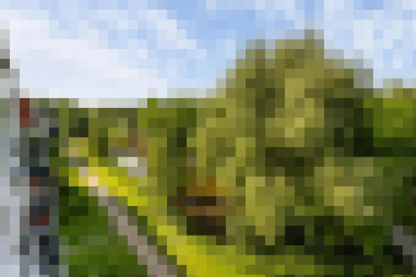 Dr Schaepmansingel 189 Schiedam thumbnail 11