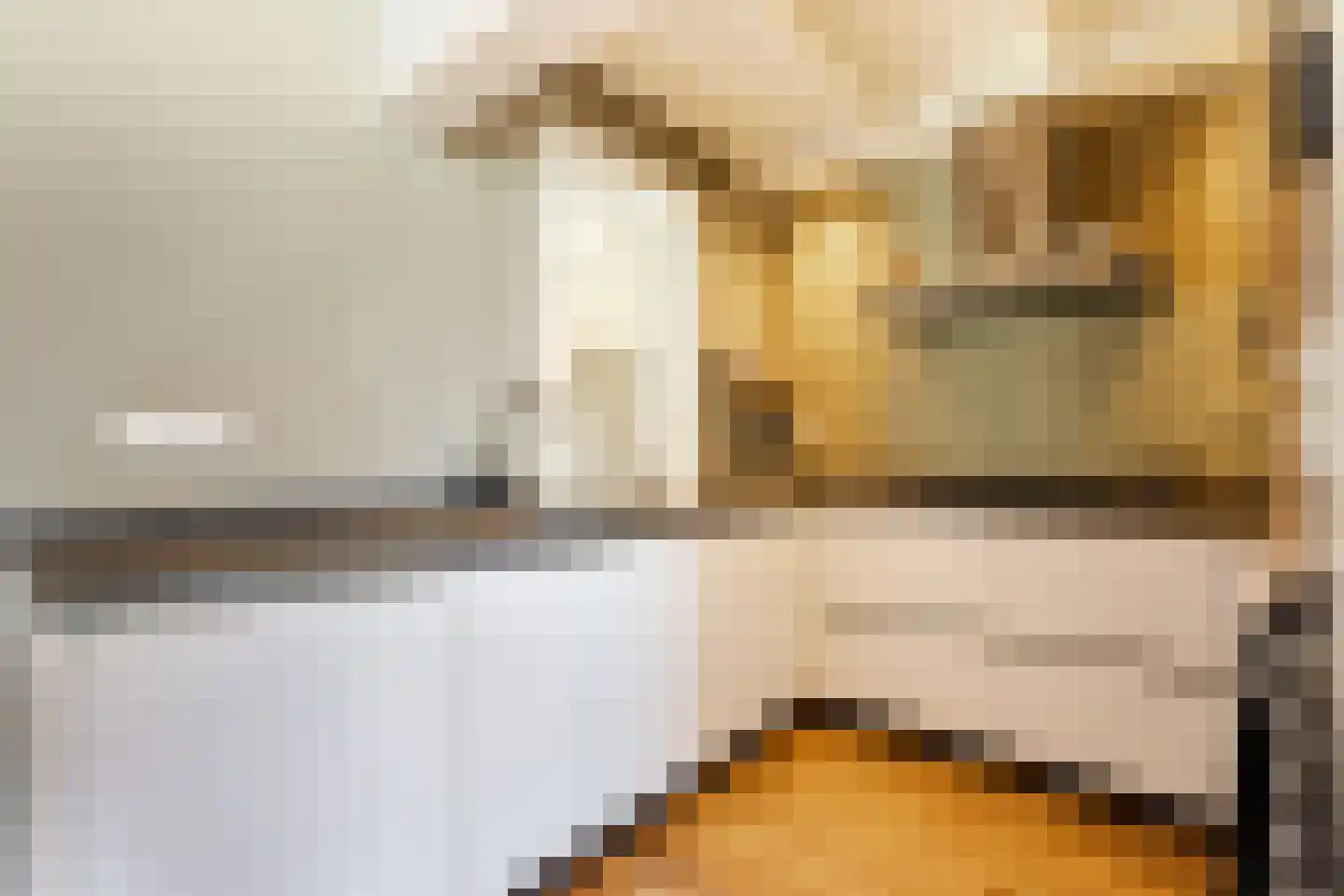 Dr. Schaepmanstraat 103 Sliedrecht thumbnail 11
