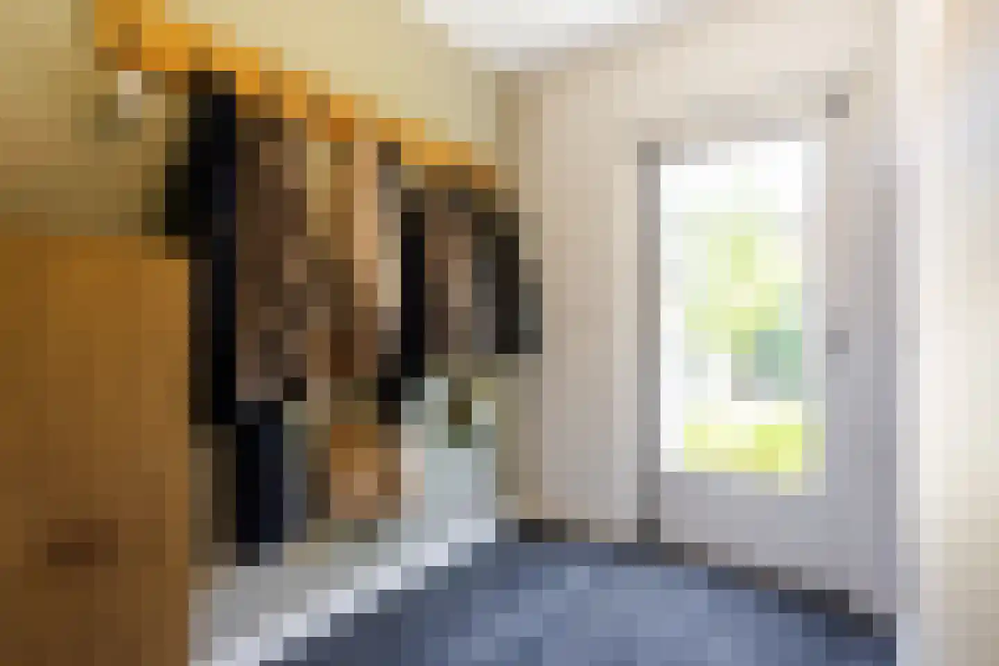 Dr. Schaepmanstraat 103 Sliedrecht thumbnail 13