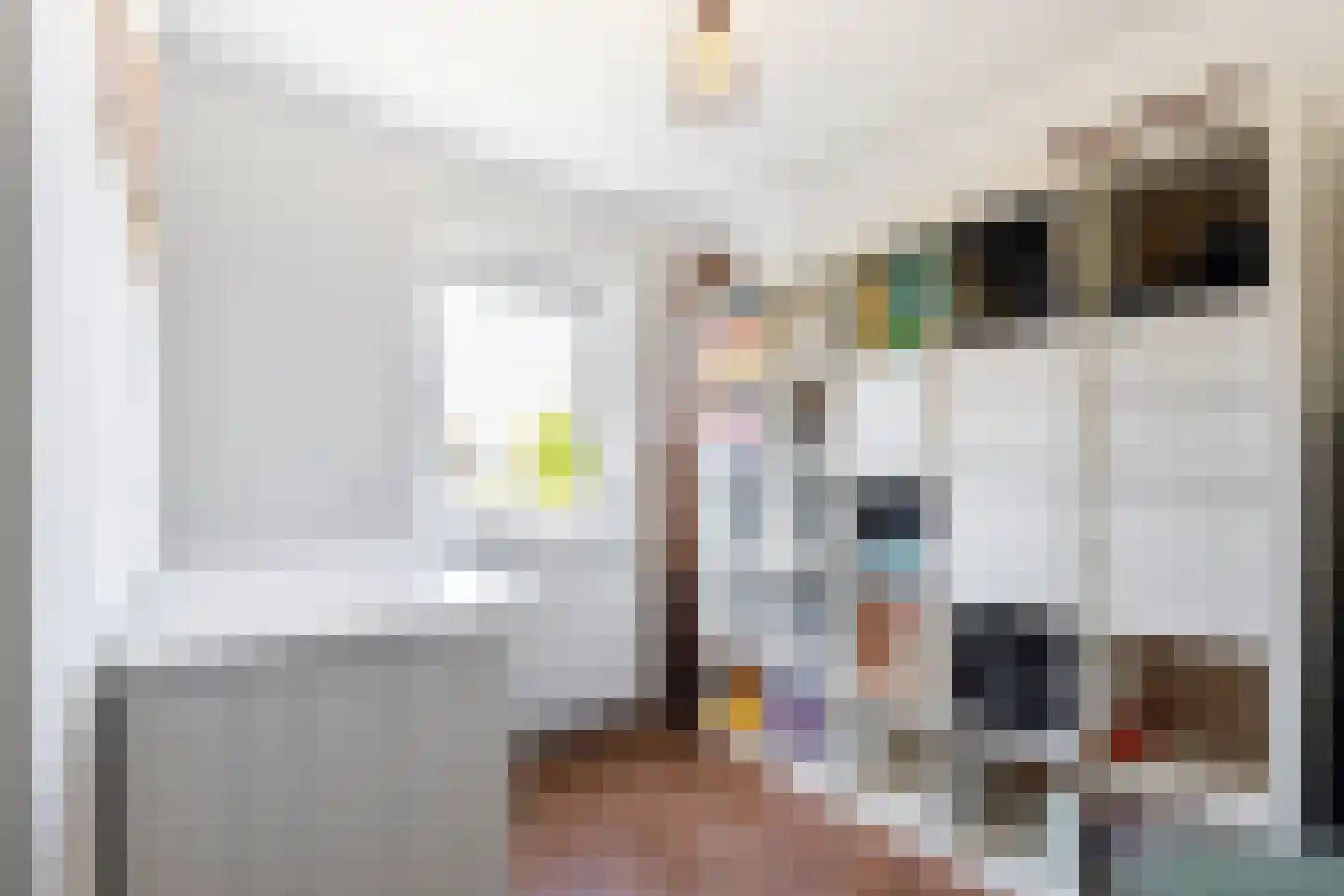 Dr. Schaepmanstraat 103 Sliedrecht thumbnail 23