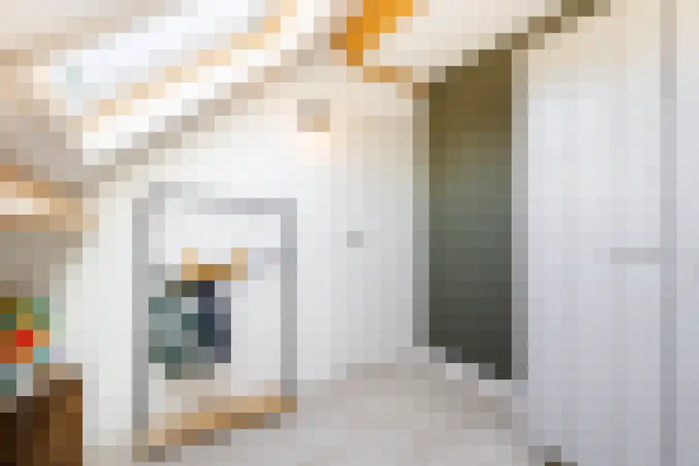 Dr. Schaepmanstraat 103 Sliedrecht thumbnail 29