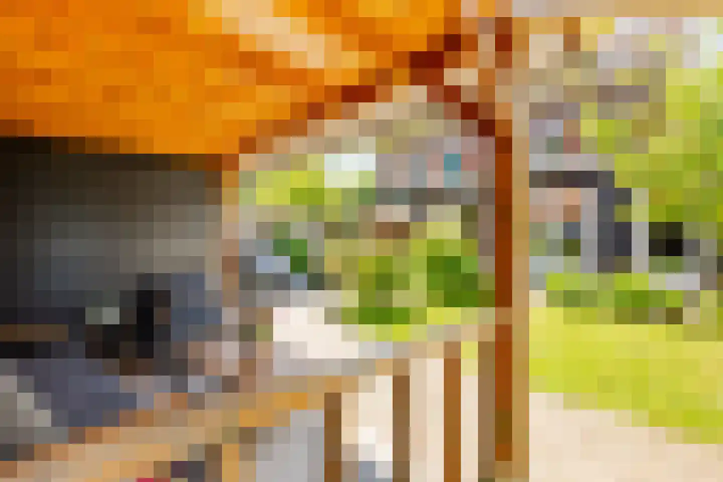 Dr. Schaepmanstraat 103 Sliedrecht thumbnail 34