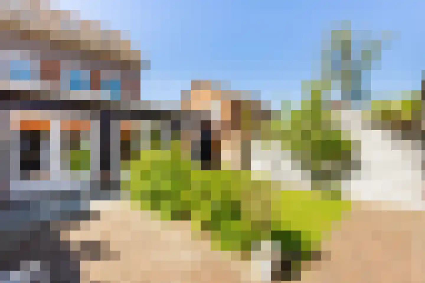 Dr. Schaepmanstraat 103 Sliedrecht thumbnail 35