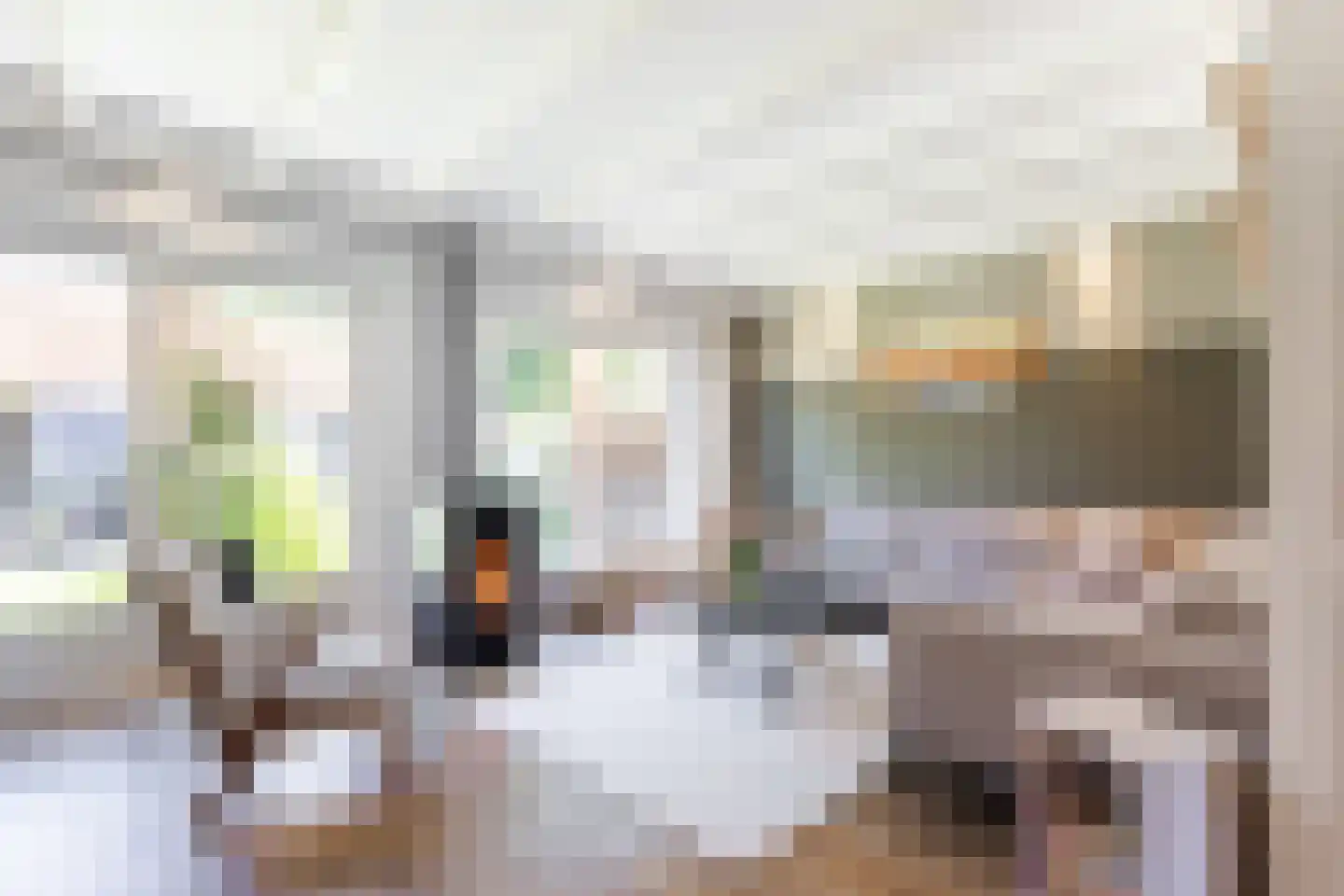 Dr. Schaepmanstraat 103 Sliedrecht thumbnail 4