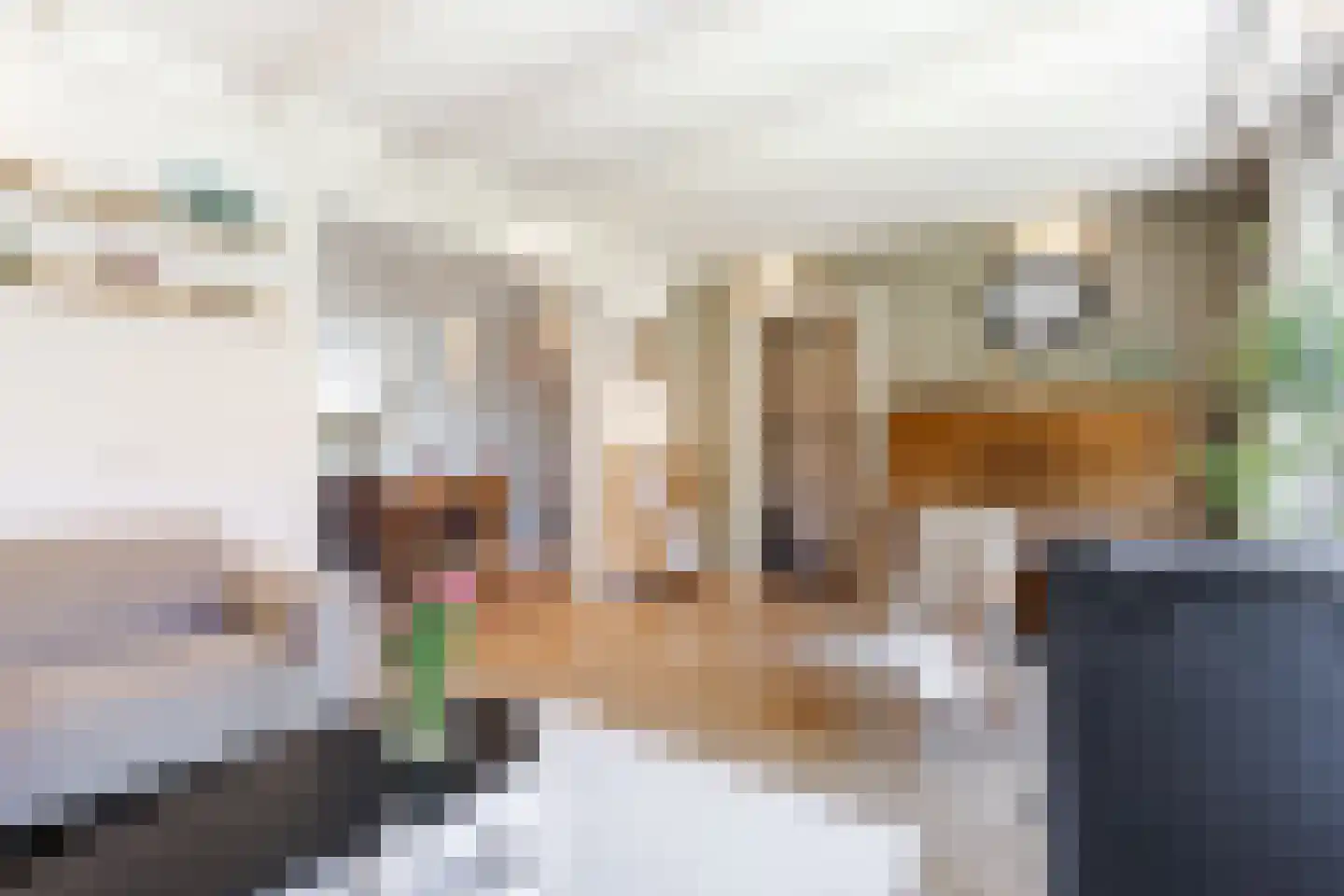 Dr. Schaepmanstraat 103 Sliedrecht thumbnail 5
