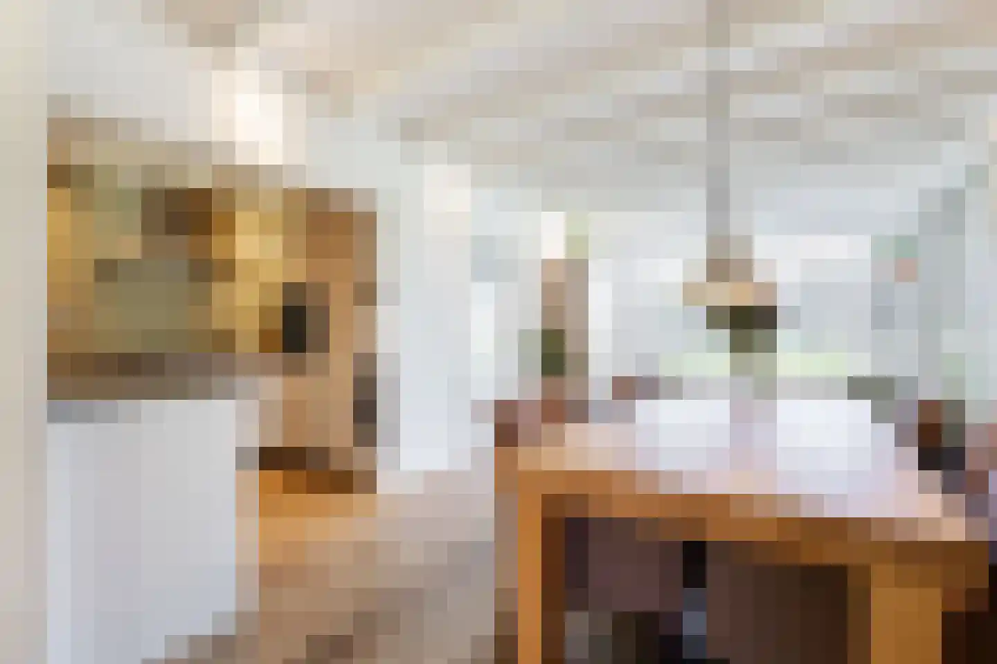 Dr. Schaepmanstraat 103 Sliedrecht thumbnail 7