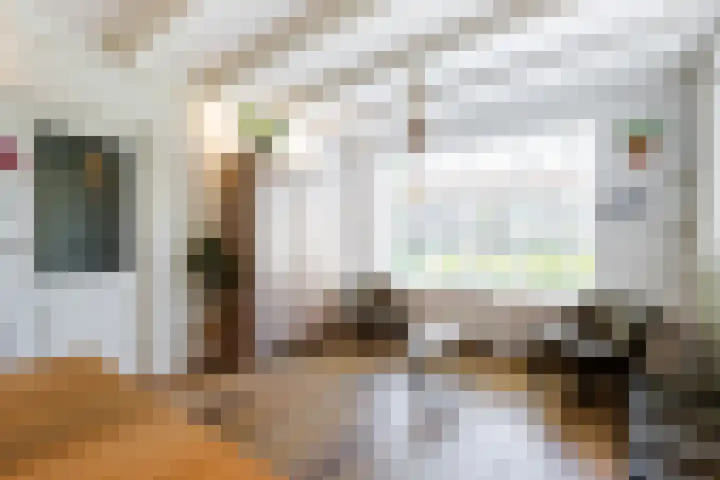 Dr. Schaepmanstraat 103 Sliedrecht thumbnail 8