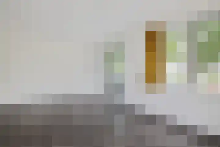 Dr. Schaepmanstraat 105 Assen thumbnail 11