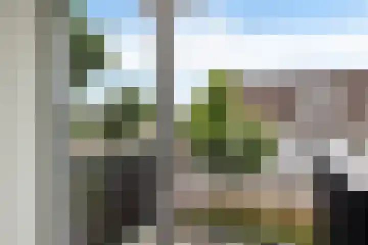 Dr. Schaepmanstraat 105 Assen thumbnail 19