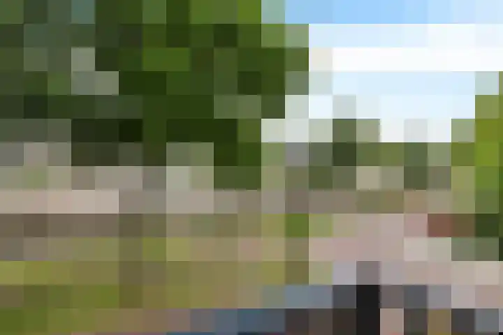 Dr. Schaepmanstraat 105 Assen thumbnail 20