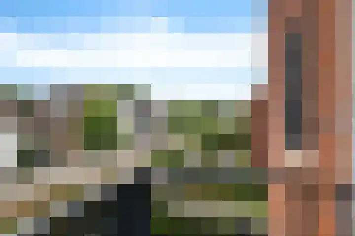 Dr. Schaepmanstraat 105 Assen thumbnail 21