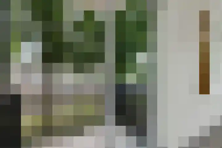 Dr. Schaepmanstraat 105 Assen thumbnail 22