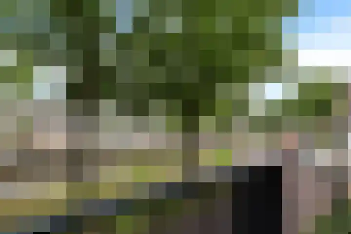 Dr. Schaepmanstraat 105 Assen thumbnail 23