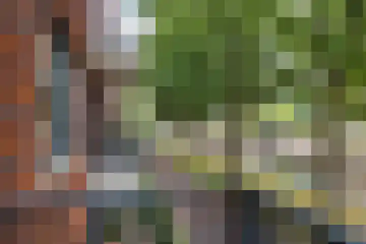 Dr. Schaepmanstraat 105 Assen thumbnail 24