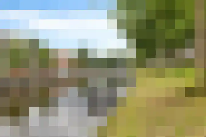 Dr. Schaepmanstraat 105 Assen thumbnail 4