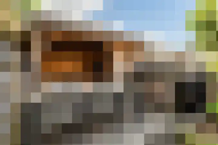 Dr. Schaepmanstraat 11 Delft thumbnail 18