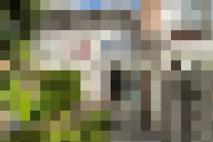 Dr. Schaepmanstraat 11 Delft thumbnail 23