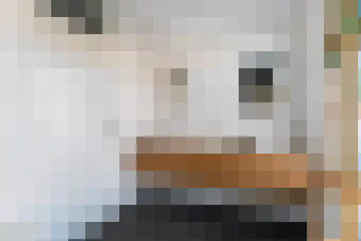 Dr. Schaepmanstraat 11 Delft thumbnail 30