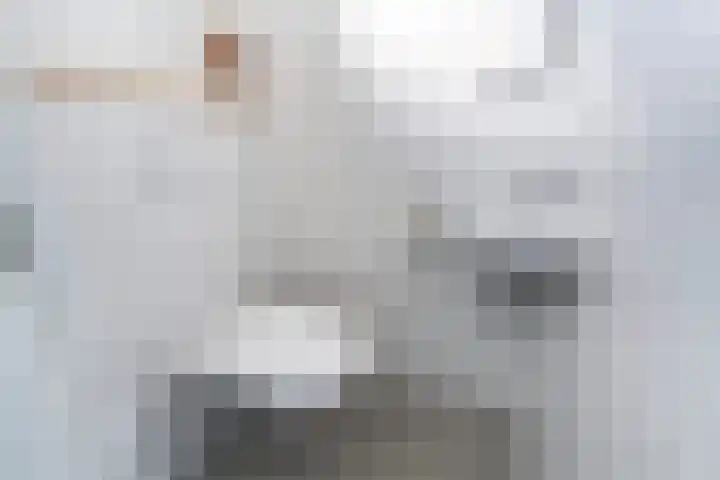 Dr. Schaepmanstraat 11 Delft thumbnail 7