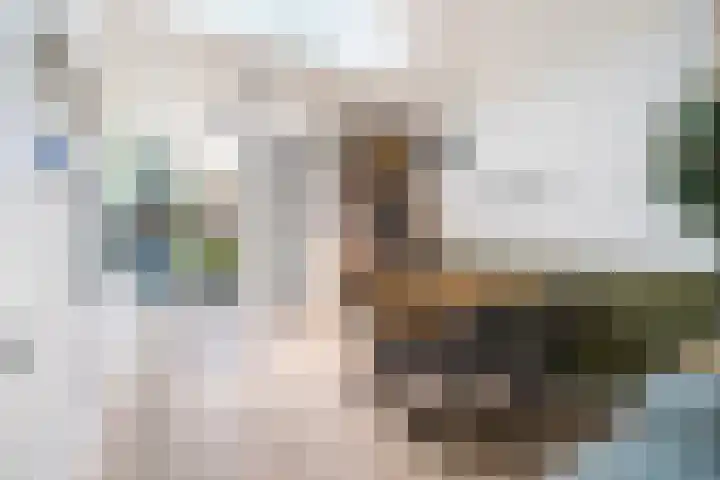 Dr. Schaepmanstraat 11 Delft thumbnail 9