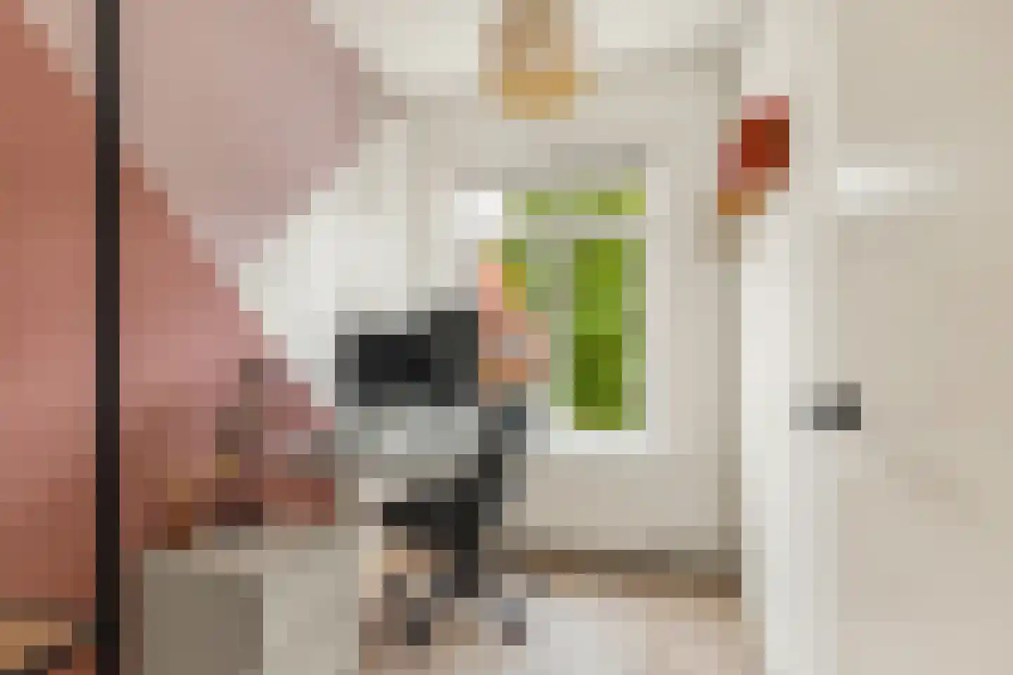 Dr. Schaepmanstraat 112 Haarlem thumbnail 15