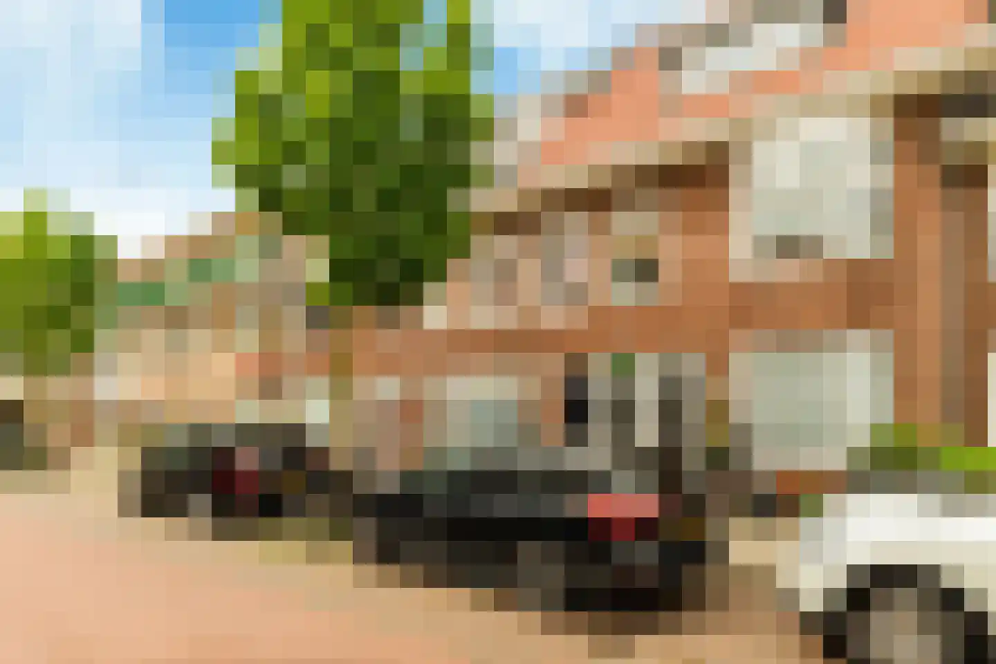 Dr. Schaepmanstraat 112 Haarlem thumbnail 5