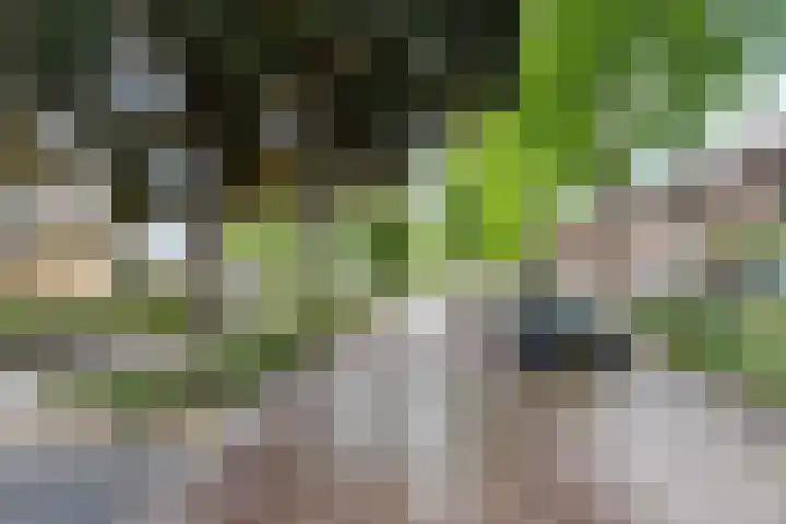 Dr. Schaepmanstraat 115 Valkenswaard thumbnail 24
