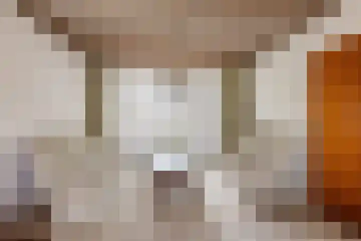 Dr. Schaepmanstraat 115 Valkenswaard thumbnail 6