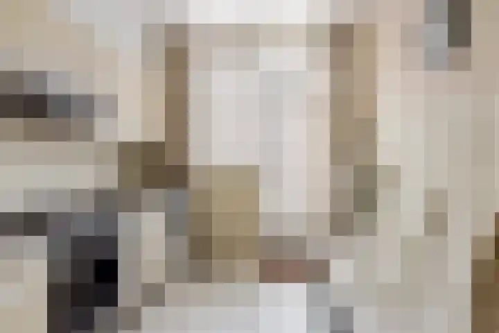 Dr. Schaepmanstraat 115 Valkenswaard thumbnail 7
