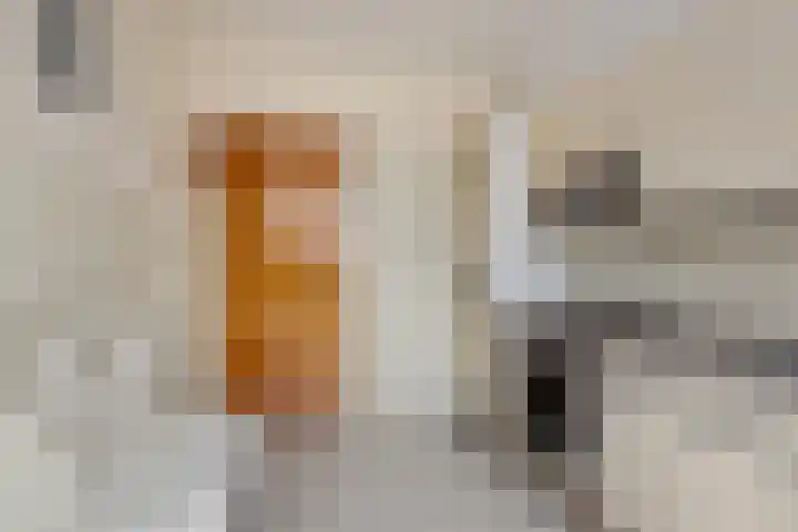 Dr. Schaepmanstraat 115 Valkenswaard thumbnail 8