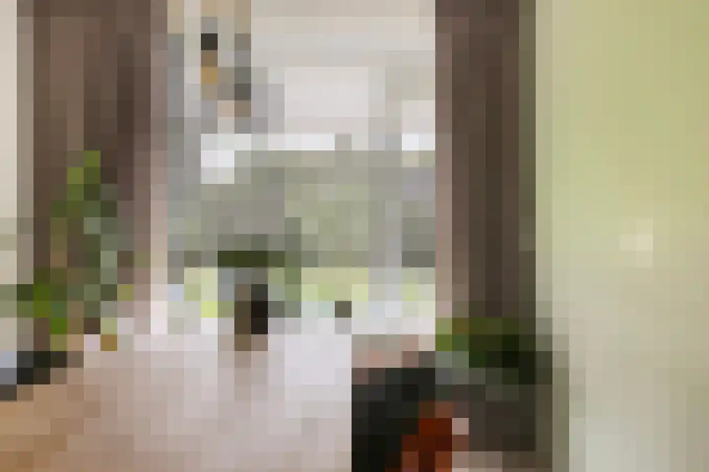 dr. Schaepmanstraat 12 B Vlaardingen thumbnail 13