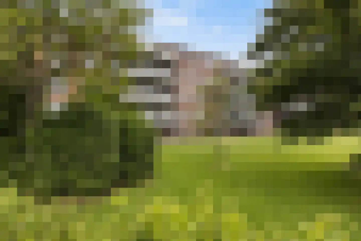 dr. Schaepmanstraat 12 B Vlaardingen thumbnail 22