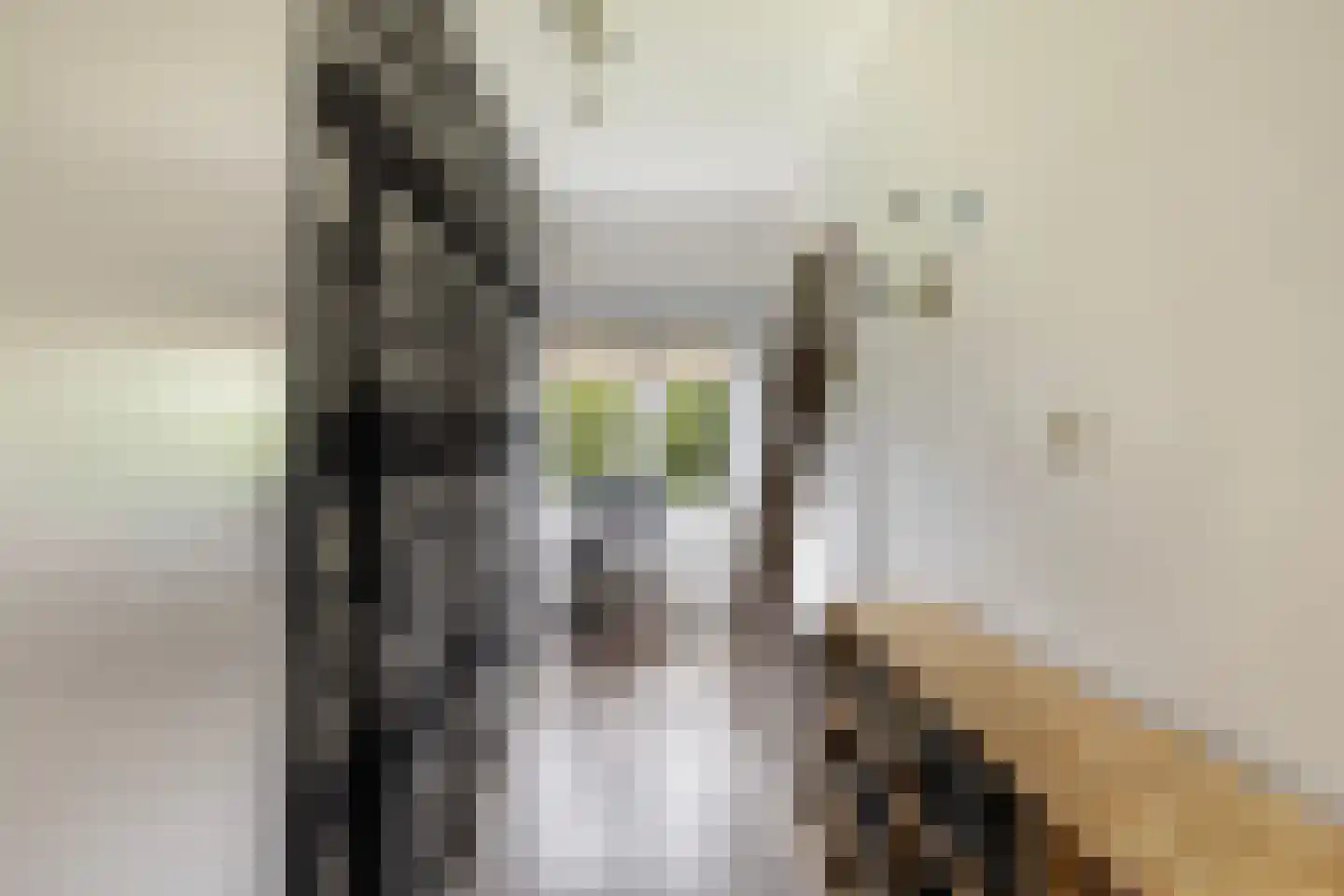 dr. Schaepmanstraat 12 B Vlaardingen thumbnail 30