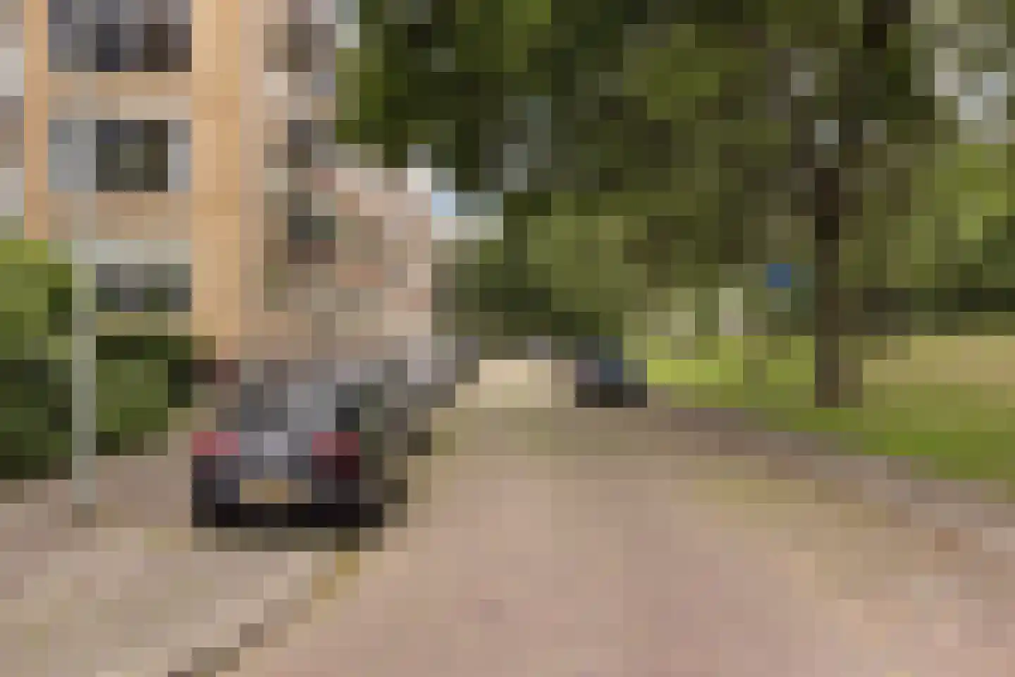 dr. Schaepmanstraat 12 B Vlaardingen thumbnail 37